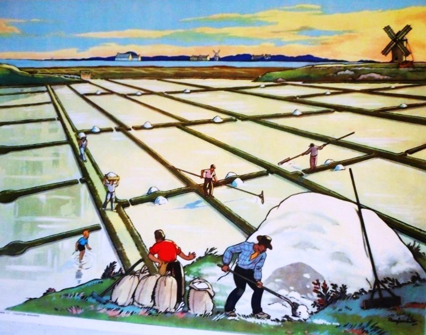 affiche marais salants