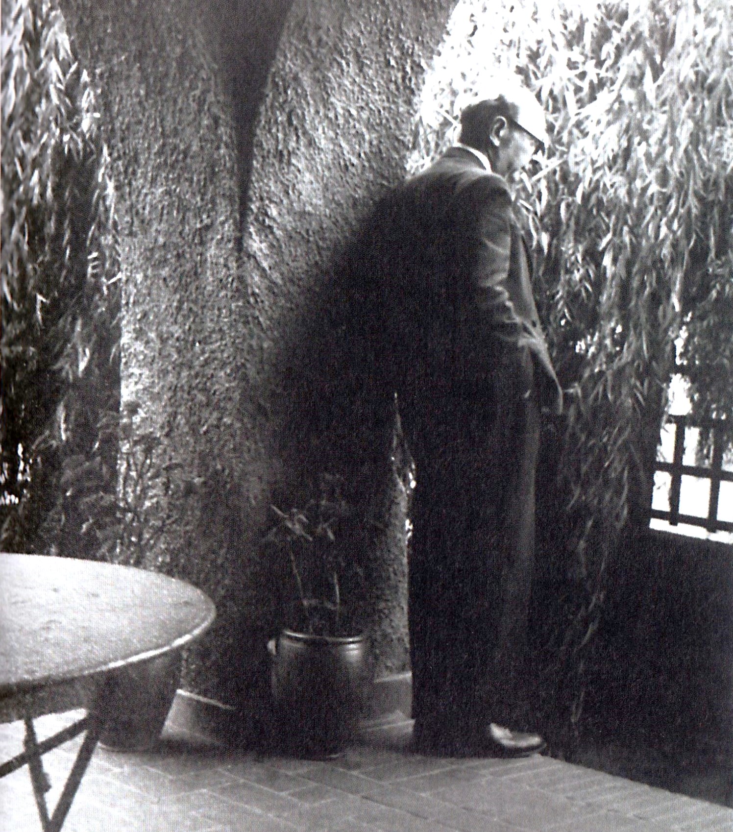 raylambert sur sa terrasse