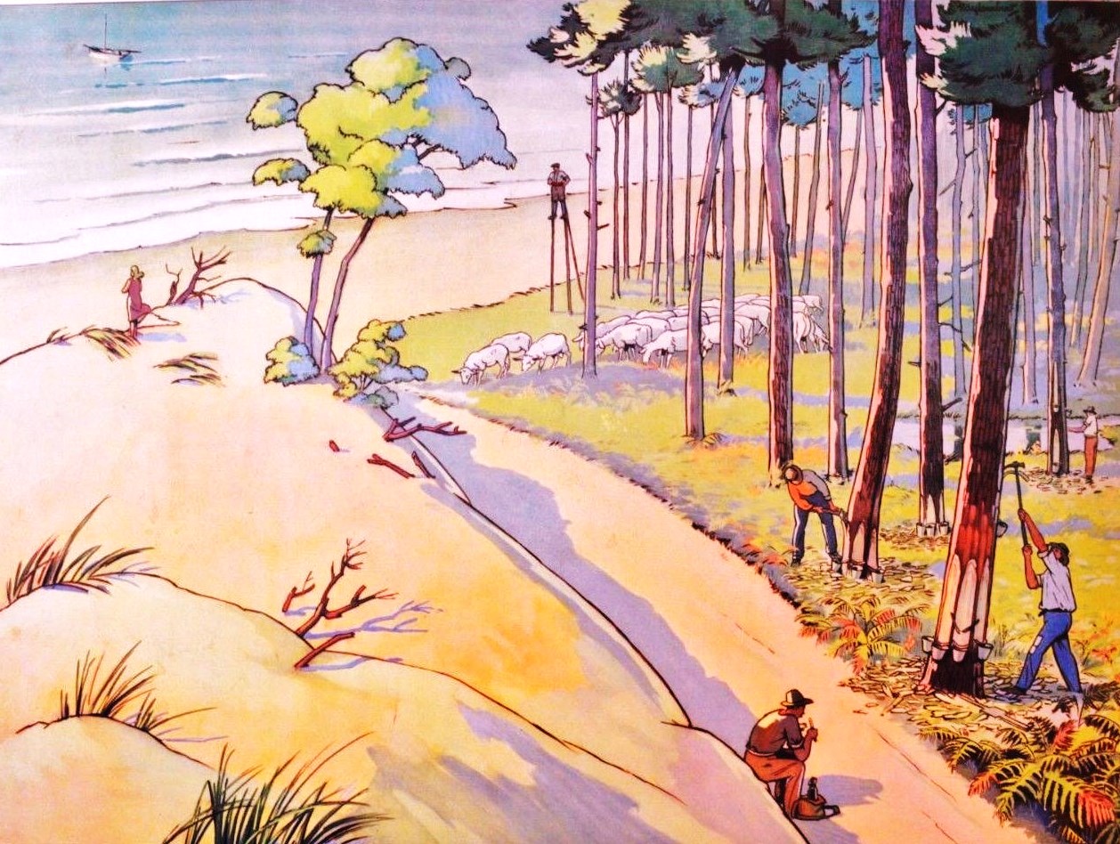 affiche terrain sableux